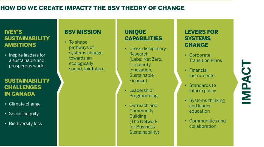 BSV Theory of Change. Sustainability ambitions, BSV Mission, Unique Capabilities, and Levers for Systems Change.